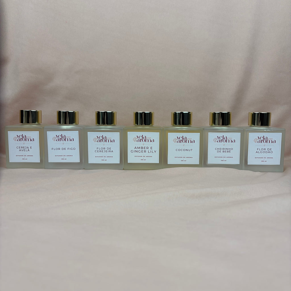 Aromatizador de Ambiente em Varetas 100 ml – Vidro Fosco