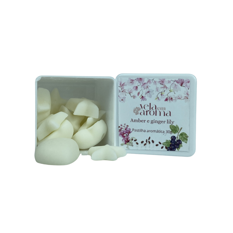 Wax Melts - Pastilhas Aromáticas 30 Gramas