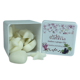Wax Melts - Pastilhas Aromáticas 30 Gramas